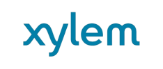 xylem